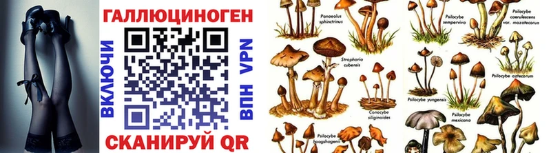 Купить  Валуйки  Псилоцибиновые грибы Psilocybe 